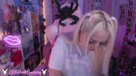 Snapshot of littlepinkbunnny chatting on October 28, 4:49 am LittlePinkBunnny online show from October 28, 4:49 am