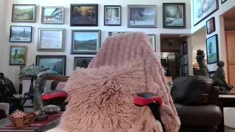 Miss D   Shows Mon Wed  Fri online show from May 18, 6:36 pm