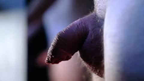 Snapshot of littlescrapper69 chatting on October 9, 3:04 am littlescrapper69 online show from October 9, 3:04 am