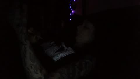 Liv Mirage online show from November 5, 10:48 am