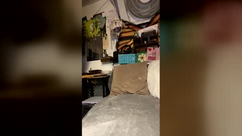 livpiper online show from April 29, 5:41 pm