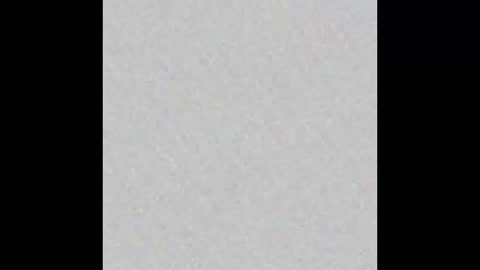 Liz  online show from February 4, 9:07 am