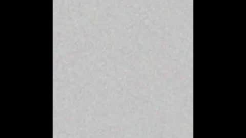 Liz  online show from February 15, 11:39 am