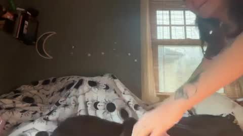 Snapshot of lizzyylovesick chatting on February 3, 2:02 pm lizzybunny online show from February 3, 2:02 pm