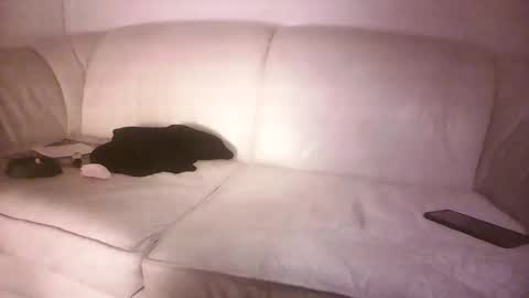 lms_celebi online show from September 18, 4:25 am