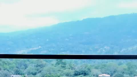 Lynx Mist online show from January 13, 9:53 pm