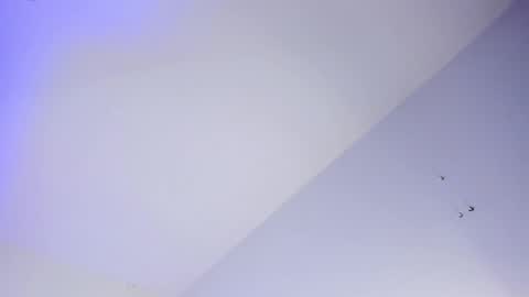 Snapshot of logan_west1 chatting on October 16, 8:04 am Logan online show from October 16, 8:04 am