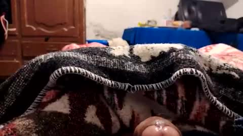 loganncky online show from February 18, 8:10 am