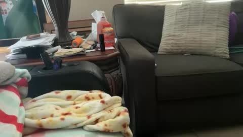 Snapshot of logical12345 chatting on November 18, 10:14 pm logical12345 online show from November 18, 10:14 pm