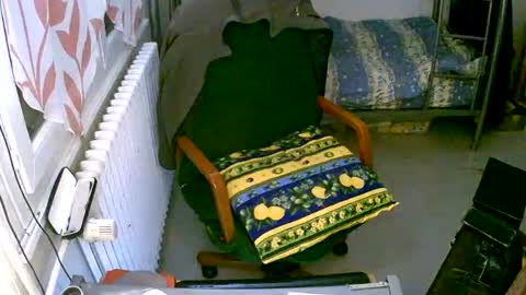 lokoum39 online show from December 2, 5:15 pm