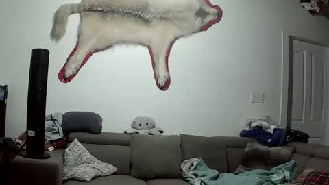 Snapshot of lolalixx6969 chatting on October 9, 5:49 am Lola Lixx online show from October 9, 5:49 am