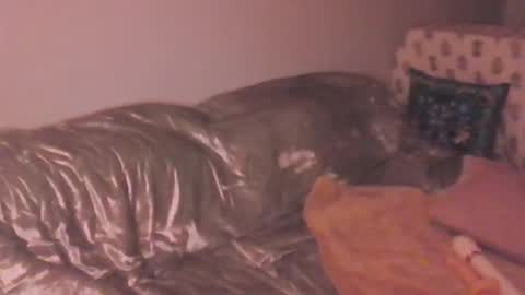 Snapshot of lolapeach222 chatting on March 20, 12:26 am Lola Peach xo online show from March 20, 12:26 am