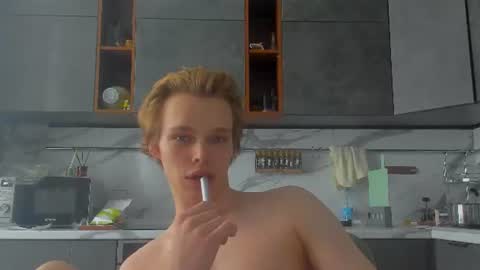 Snapshot of lolnoillimsary chatting on June 26, 11:47 am Nelis online show from June 26, 11:47 am