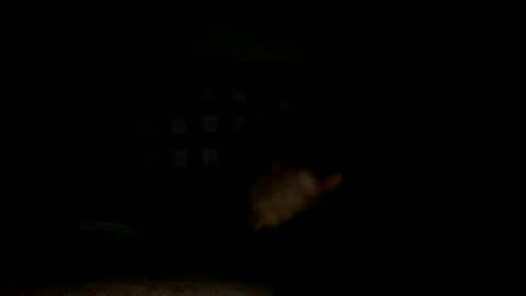 Handsome Cock online show from November 14, 7:34 pm