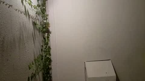 Snapshot of longdick3587 chatting on February 17, 5:14 am longdick3587 online show from February 17, 5:14 am