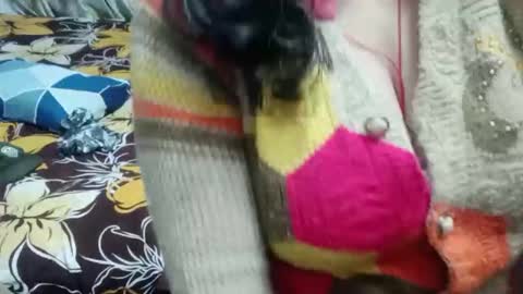 Shy Housewife online show from December 16, 5:29 pm