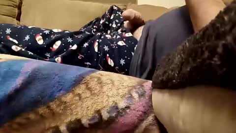 looking4bush online show from December 23, 2:42 am