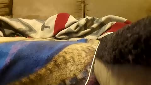 looking4bush online show from January 19, 5:55 am