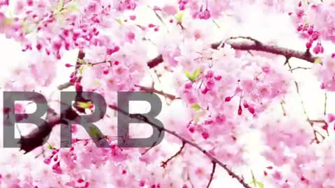 Snapshot of lorraine_baker chatting on June 9, 7:58 pm Lorraine online show from June 9, 7:58 pm