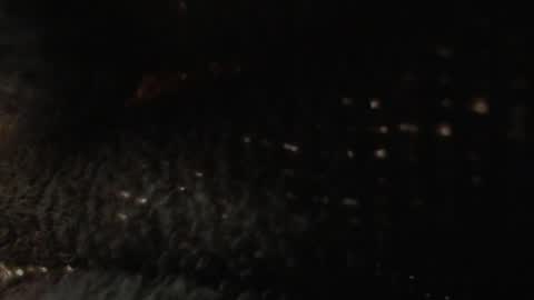 OF louis bcasta1 online show from January 22, 11:01 am