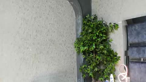 Louis online show from November 25, 6:02 am