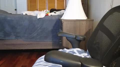 Snapshot of lovelace390 chatting on November 3, 3:19 am Amber online show from November 3, 3:19 am