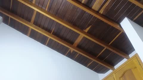 Snapshot of lovely_trix_ chatting on January 20, 11:45 am Trix online show from January 20, 11:45 am