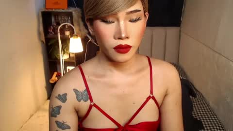 Snapshot of lovelysugar18 chatting on August 3, 6:33 pm STWEET LINA online show from August 3, 6:33 pm