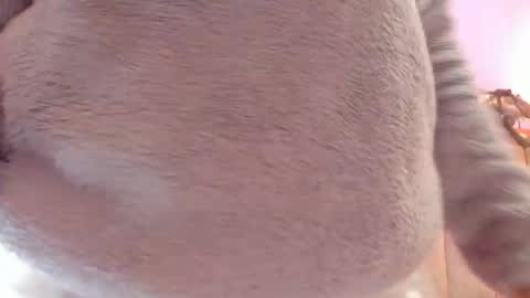 L O V E  online show from October 29, 11:56 am