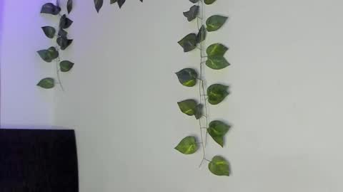 Snapshot of luaar_moon chatting on February 4, 1:44 am Jenn online show from February 4, 1:44 am