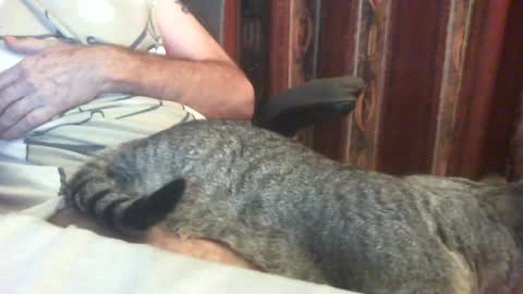 Snapshot of lucb1 chatting on August 1, 8:52 pm Luc online show from August 1, 8:52 pm