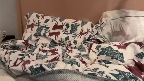 Snapshot of lucca_d123 chatting on September 22, 7:21 am lucca_d123 online show from September 22, 7:21 am