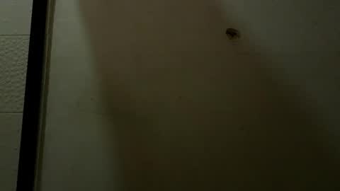 Snapshot of luci_ramirez chatting on May 9, 9:42 pm Luciana Ramirez Sofia Collins online show from May 9, 9:42 pm