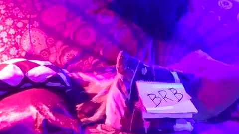 Snapshot of luckazy chatting on January 4, 6:52 am Lucky Eid Azy online show from January 4, 6:52 am