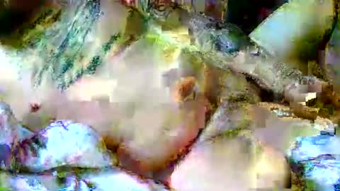 lucky134u online show from April 6, 11:44 am