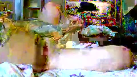 lucky134u online show from April 9, 2:55 am