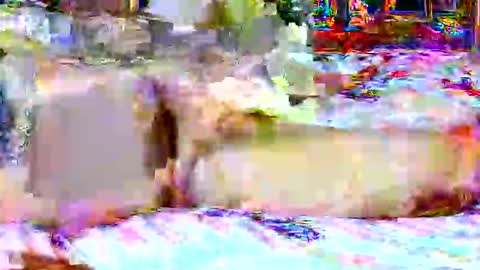 lucky134u online show from April 20, 2:31 pm