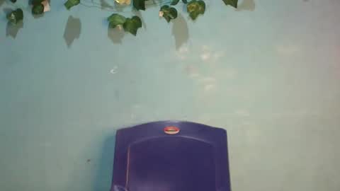 Snapshot of luckymadequeen chatting on November 17, 1:00 am Gloria online show from November 17, 1:00 am