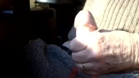 Snapshot of luckypirateboy chatting on March 8, 10:08 am BIG Daddy cock. Tips make it harder online show from March 8, 10:08 am