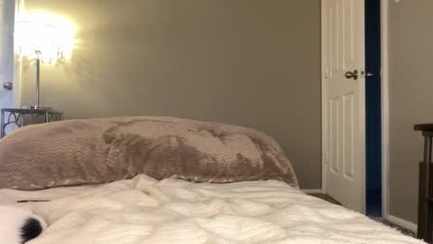 Lucy online show from November 25, 9:59 pm