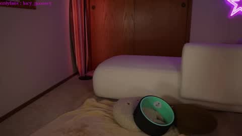 Snapshot of lucy_gooosey chatting on February 3, 4:57 am Lucy. online show from February 3, 4:57 am