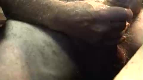 lukestarfckr online show from October 5, 5:50 am