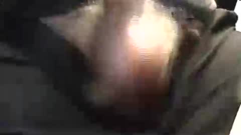 Snapshot of lukestarfckr chatting on May 29, 1:53 pm lukestarfckr online show from May 29, 1:53 pm