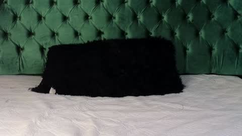 Snapshot of lumars_ chatting on January 29, 1:37 am Lumars online show from January 29, 1:37 am