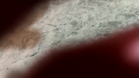 Snapshot of lust_4_daze chatting on February 13, 7:21 pm lust_4_daze online show from February 13, 7:21 pm