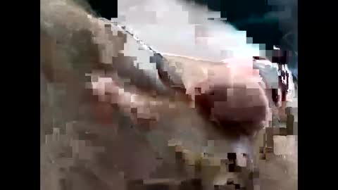 Snapshot of lutorres chatting on November 22, 3:33 pm lutorres online show from November 22, 3:33 pm