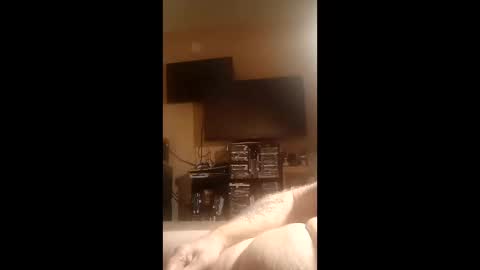 Snapshot of luv2cum4u612 chatting on January 10, 8:49 am luv2cum4u612 online show from January 10, 8:49 am