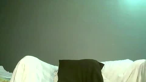 Bee Bee online show from May 27, 2:41 am