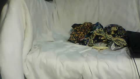 Bee Bee online show from June 16, 5:54 am