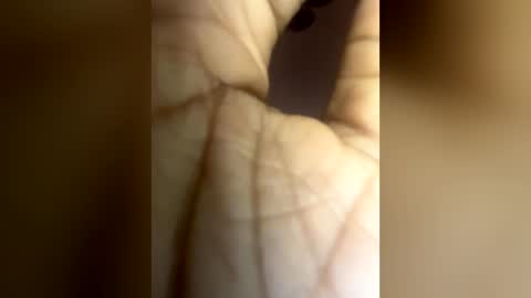 Snapshot of luvvlee chatting on June 29, 6:19 am luvvlee online show from June 29, 6:19 am